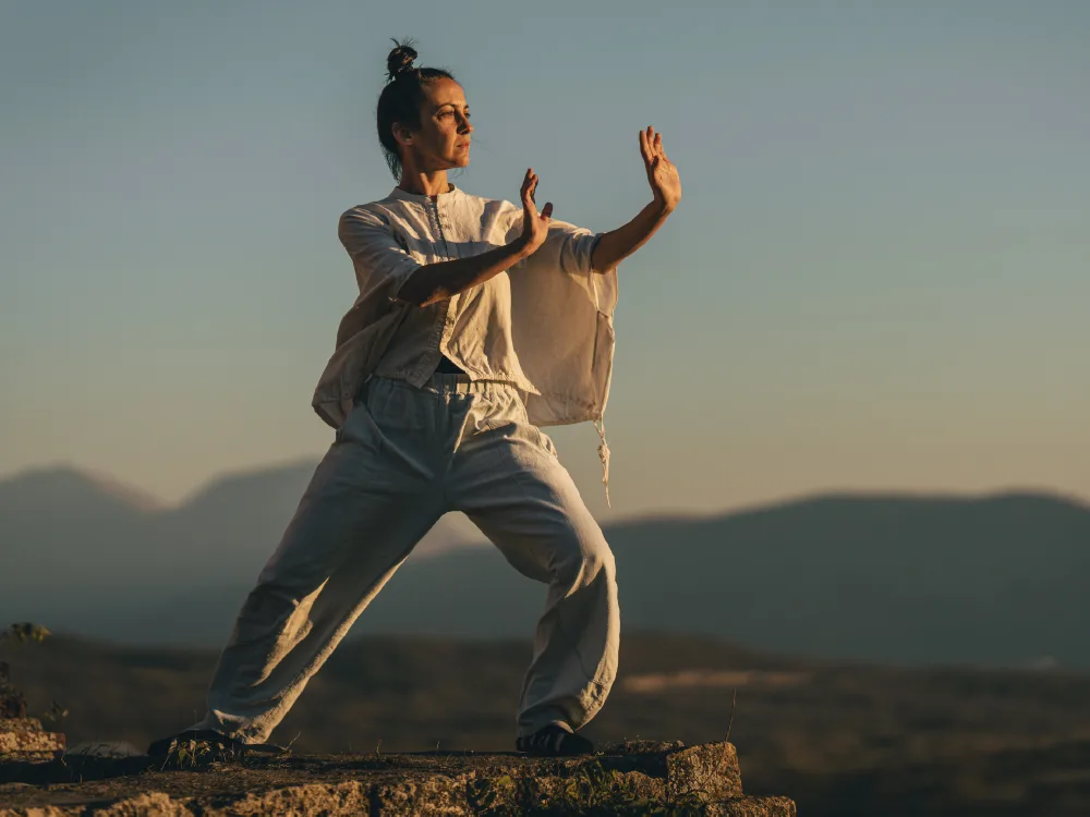 Tai Chi - Martial Art Type
